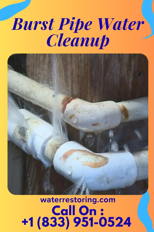 Burst Pipe Water Cleanup in Six Mile, SC