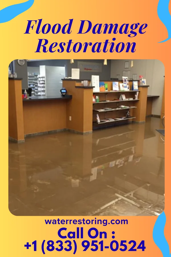 Flood Damage Restoration in Six Mile, SC