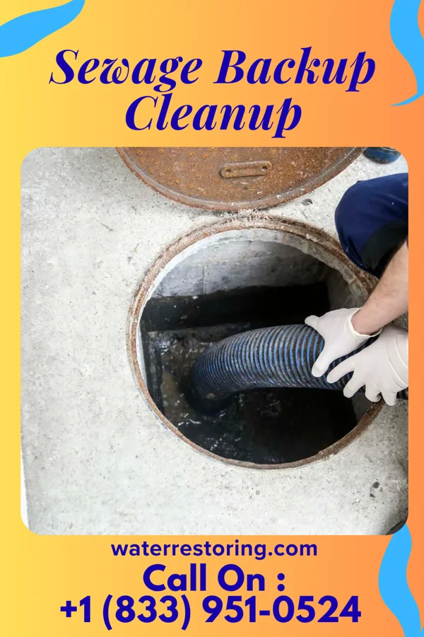 Sewage Backup Cleanup in Six Mile, SC