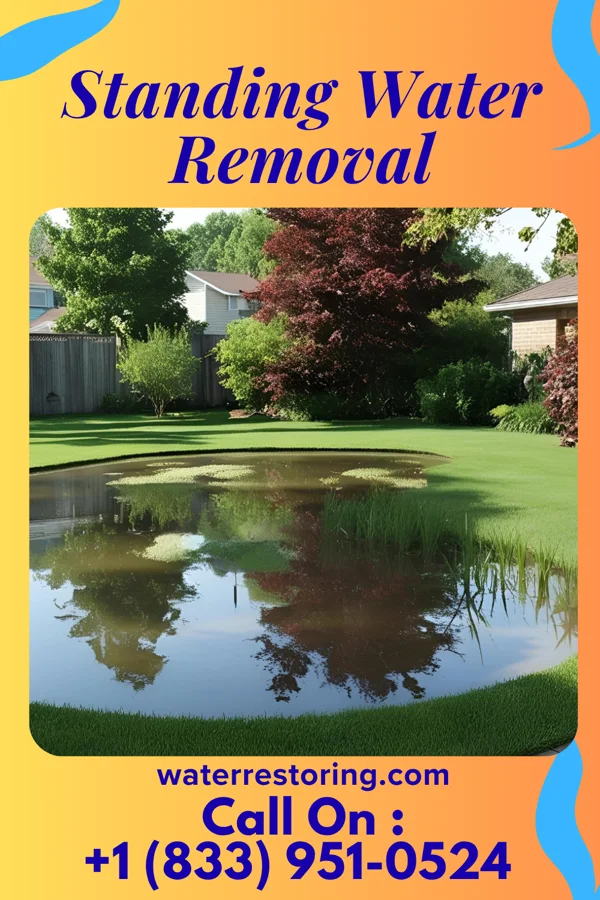 Standing Water Removal in Six Mile, SC